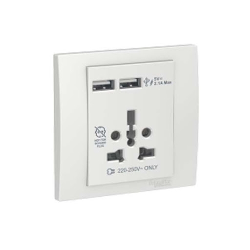 Bộ ổ cắm đa năng và sạc USB đôi Vivace màu trắng Schneider (KB42616USB_WE_G19)