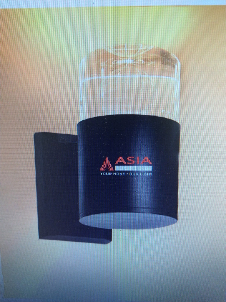Đèn tường 1 đầu địa cầu 6W AS trắng/vàng Asia lighting (DTU-ĐC-01)