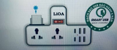 Ổ cắm Lioa đa năng không dây, 4 cổng TYPE-A, 2 cổng TYPE-C 15A, 220V, 3300W (CKD2DN4A2C)