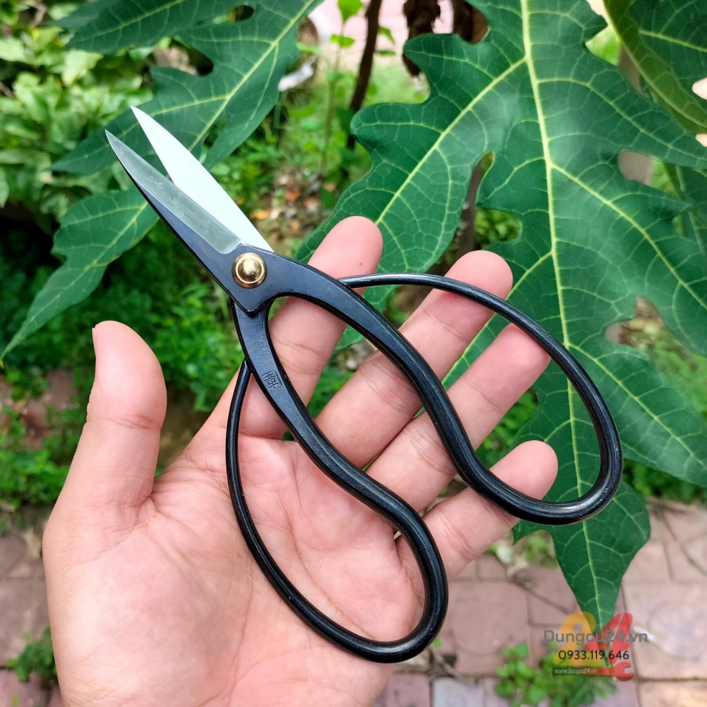 Kéo cắt tỉa cây kiểng bonsai Kanesyo Mikisyo (Y-4) No.61008
