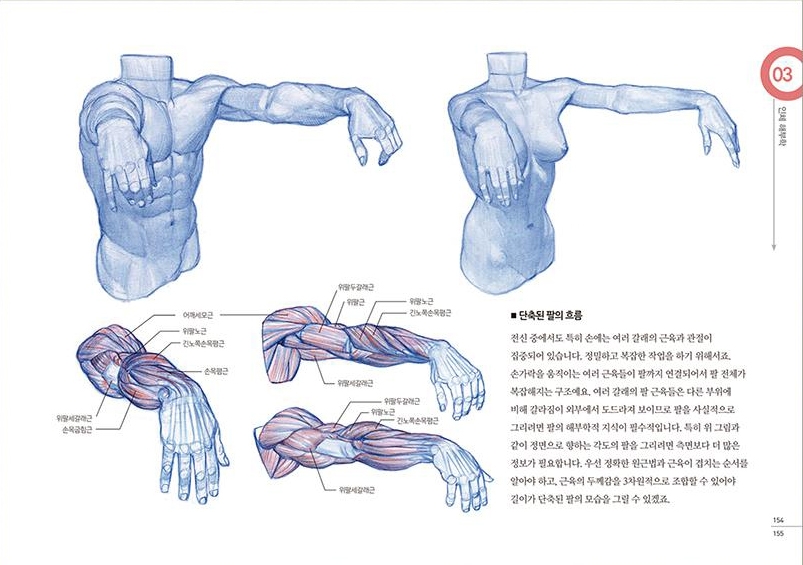 Anatomy Drawing Class