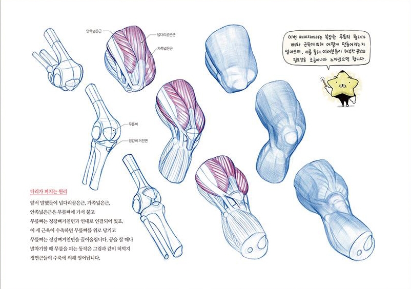 Anatomy Drawing Class