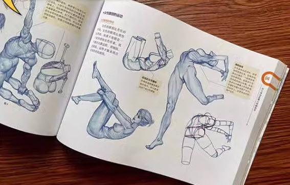 Anatomy Drawing Class - RockHe Kim (CN)