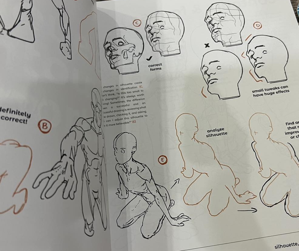 Anatomy for Artists - Tomfoxdraws