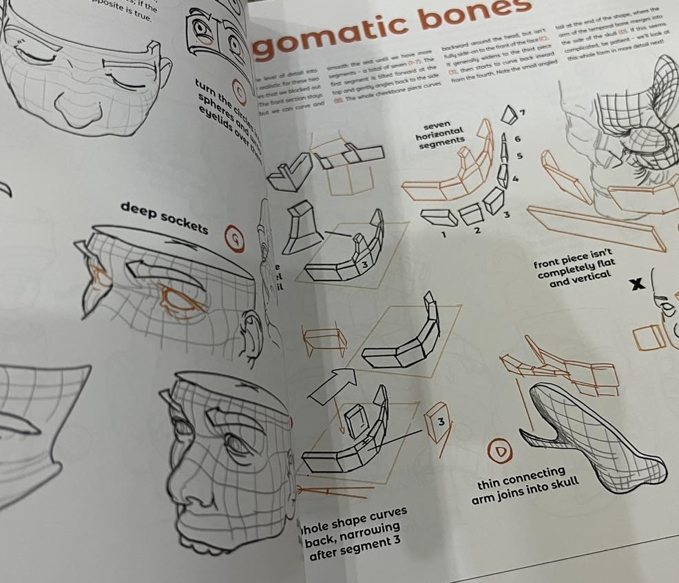 Anatomy for Artists - Tomfoxdraws