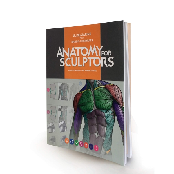 Anatomy For Sculptors