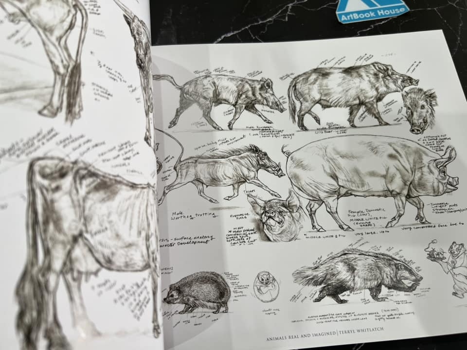 Animals Real and Imagined