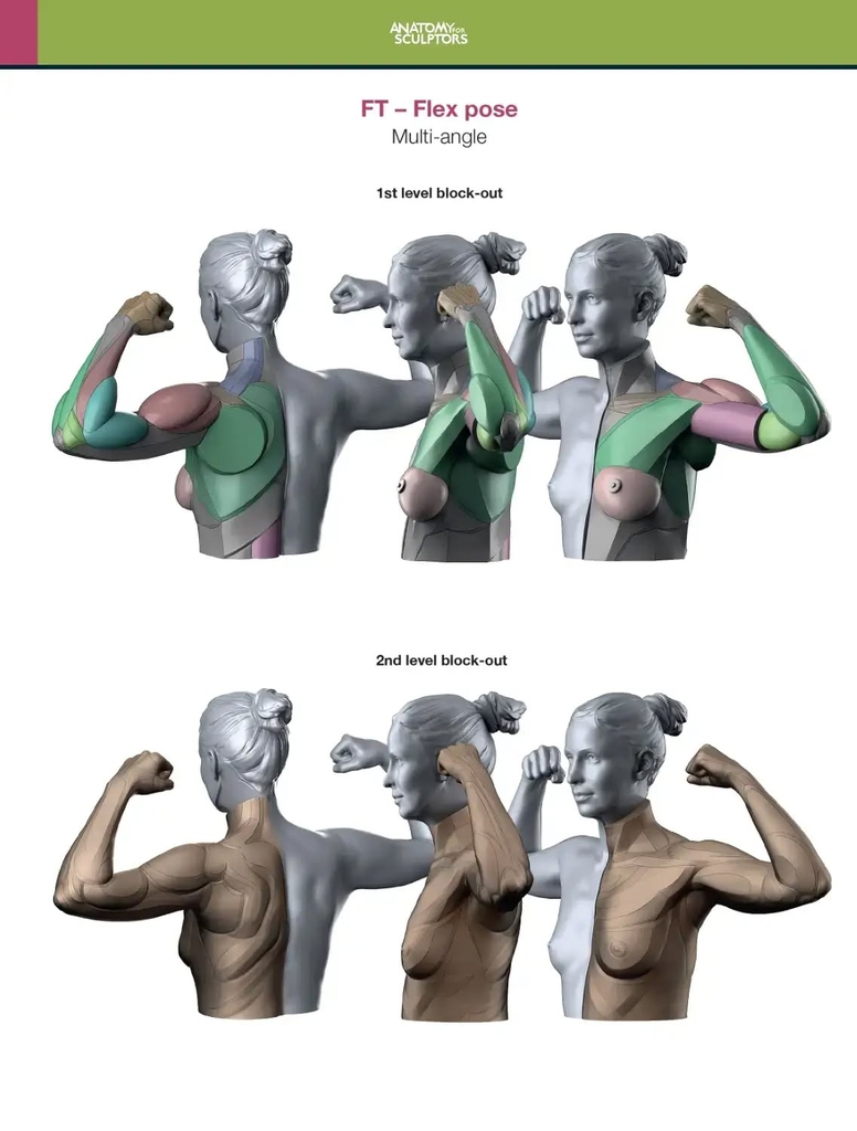 Arm and Hand in Motion