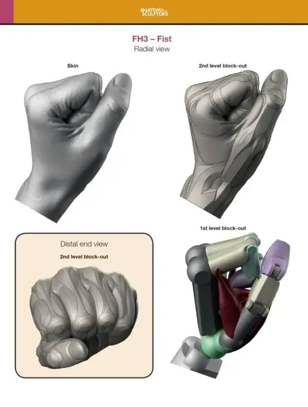 Arm and Hand in Motion