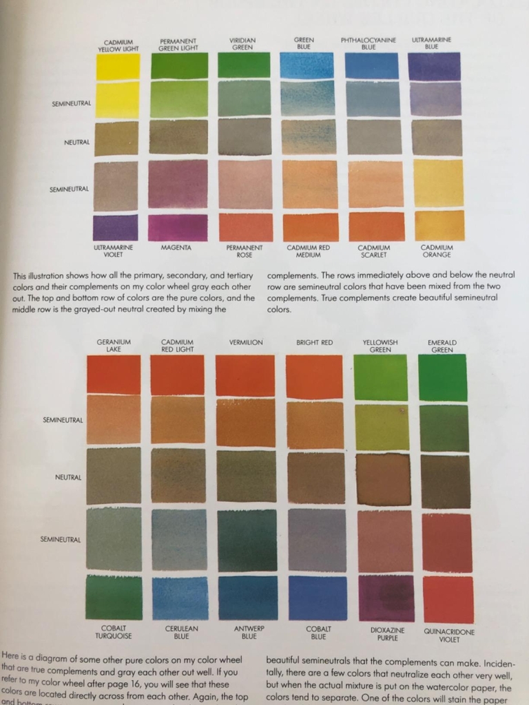 Color Choices