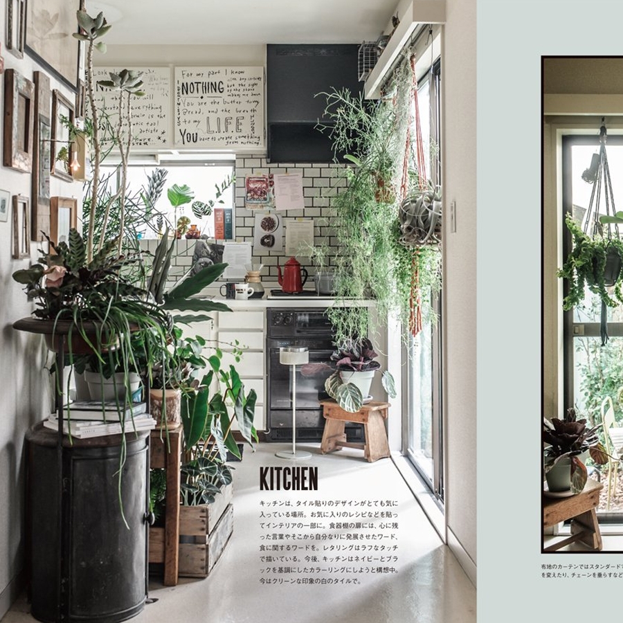 Deco Room With Plants