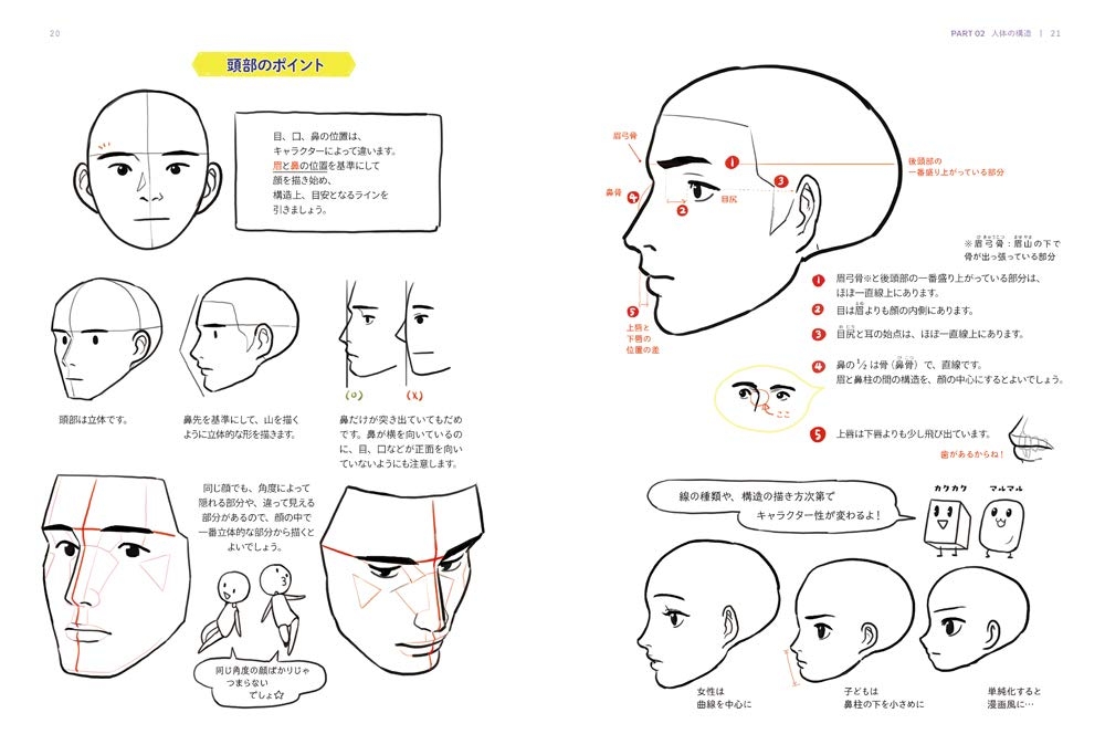 Drawing tutorial - Rino Park