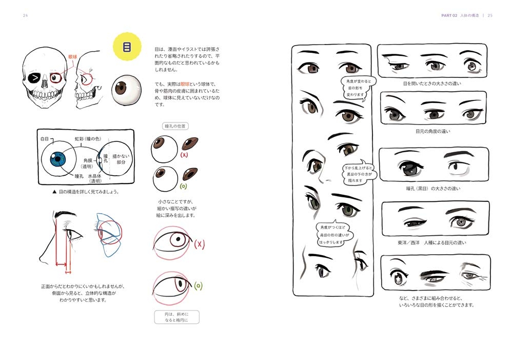 Drawing tutorial - Rino Park