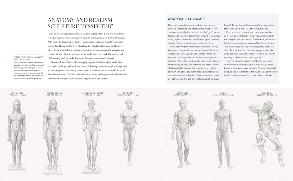 Dynamic Human Anatomy