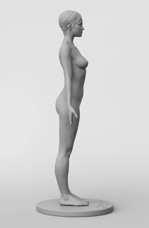3dtotal Anatomy: female half