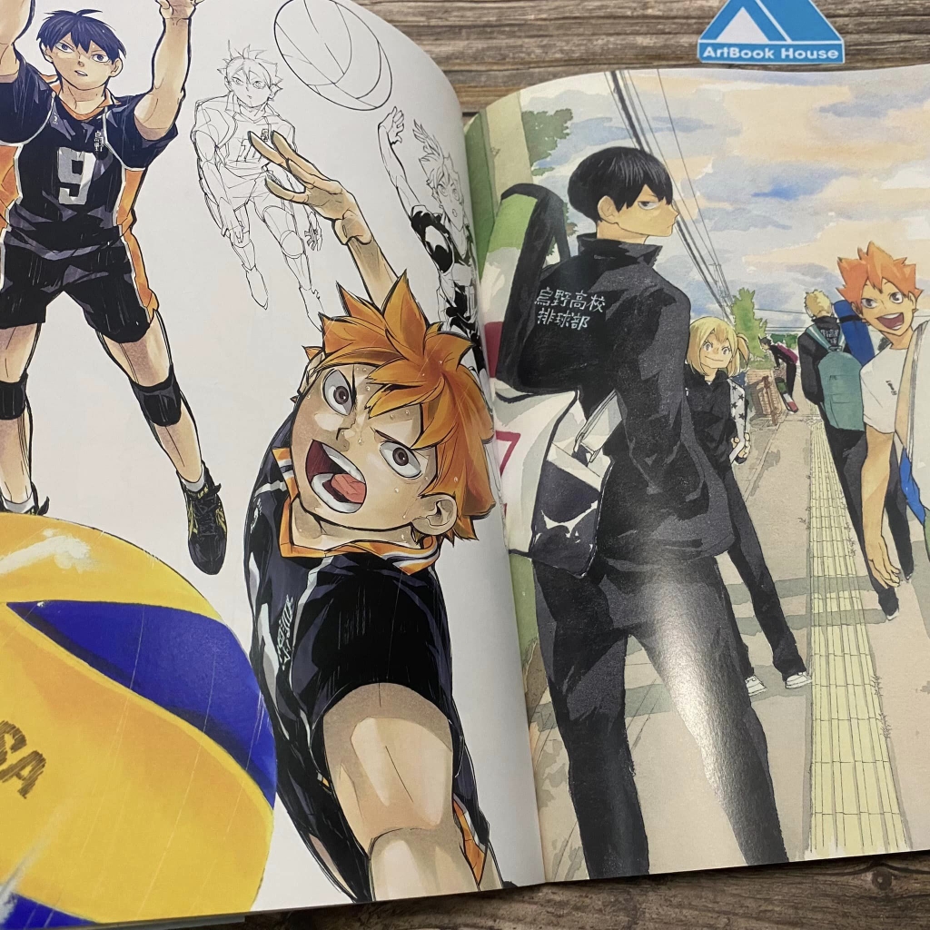 Haikyu! Complete Illustration book