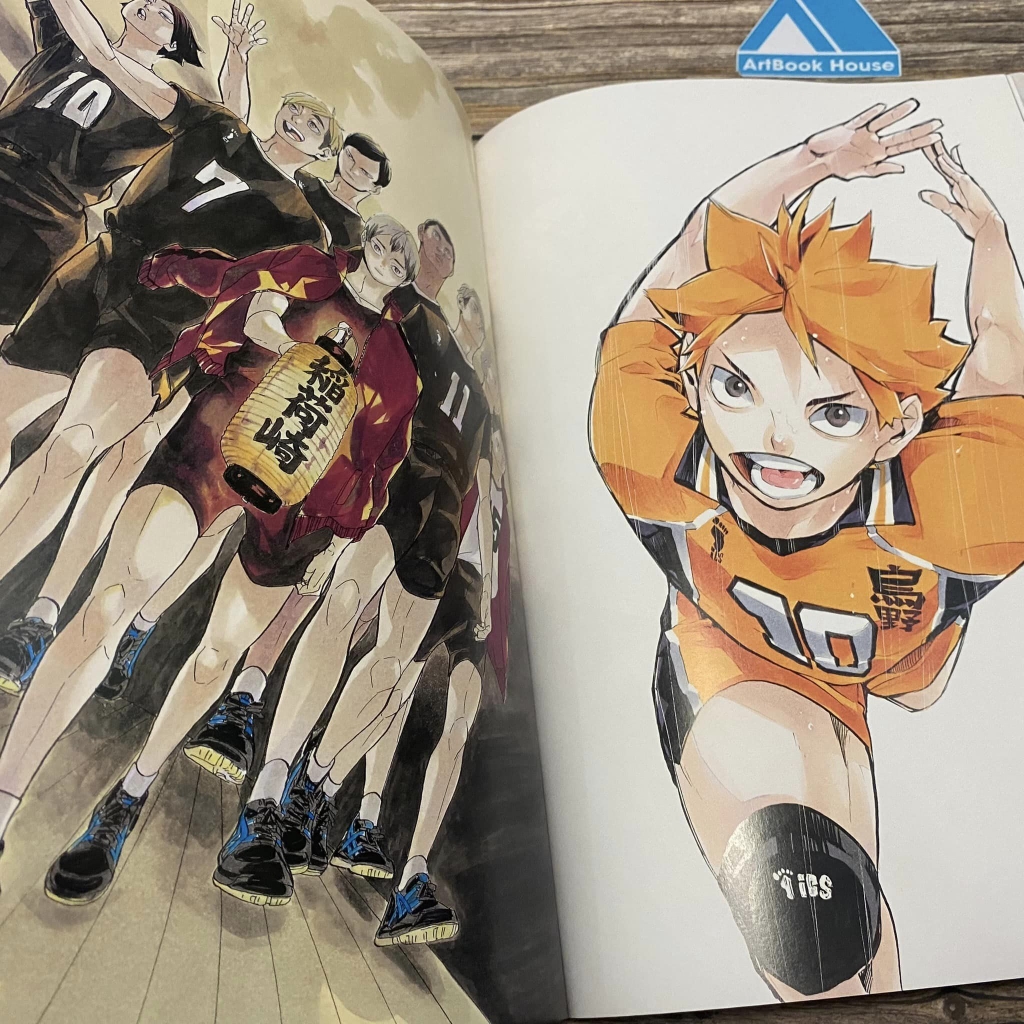 Haikyu! Complete Illustration book