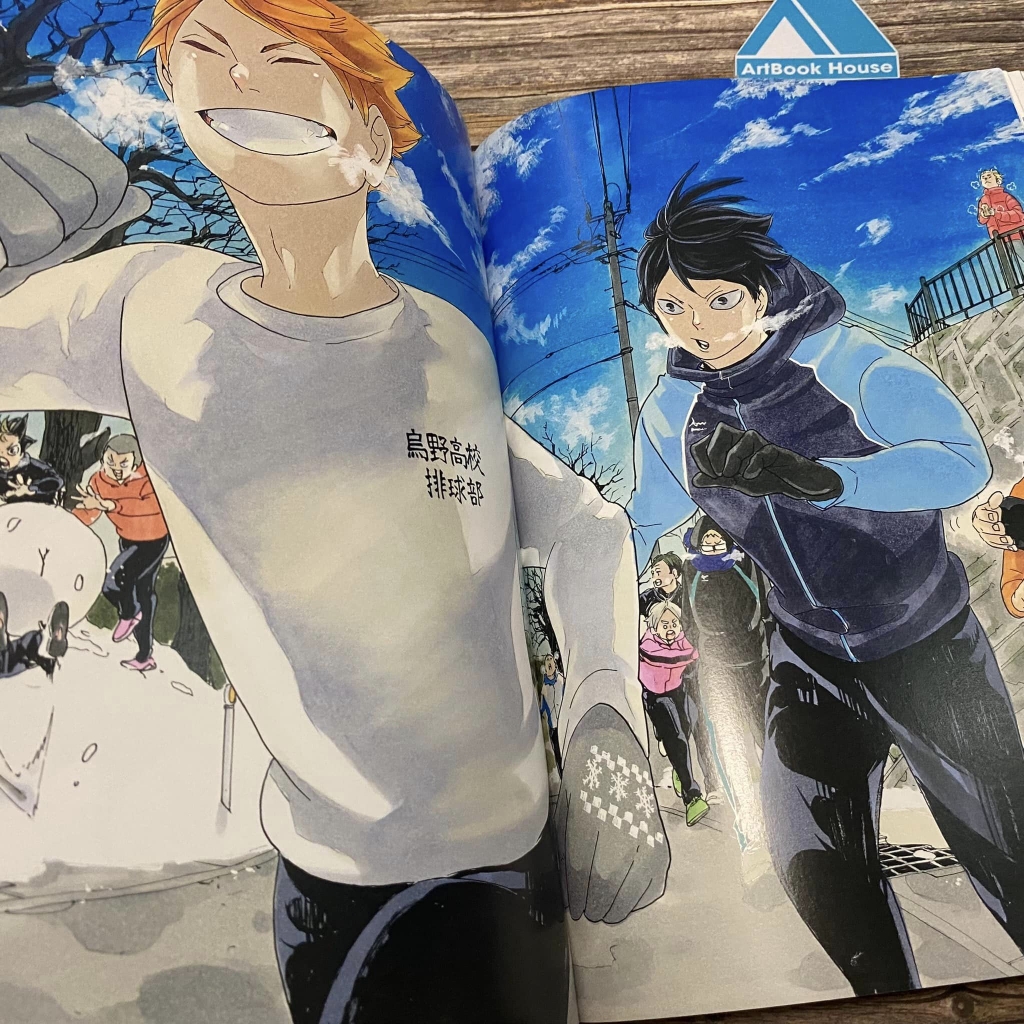 Haikyu! Complete Illustration book
