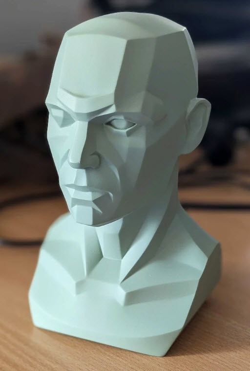 3dtotal Anatomy: Male planar bust
