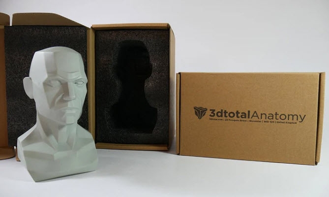 3dtotal Anatomy: Male planar bust