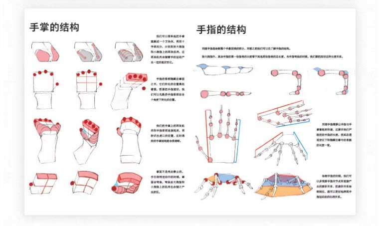 Human Anatomy for Artists - Xiao Weichun