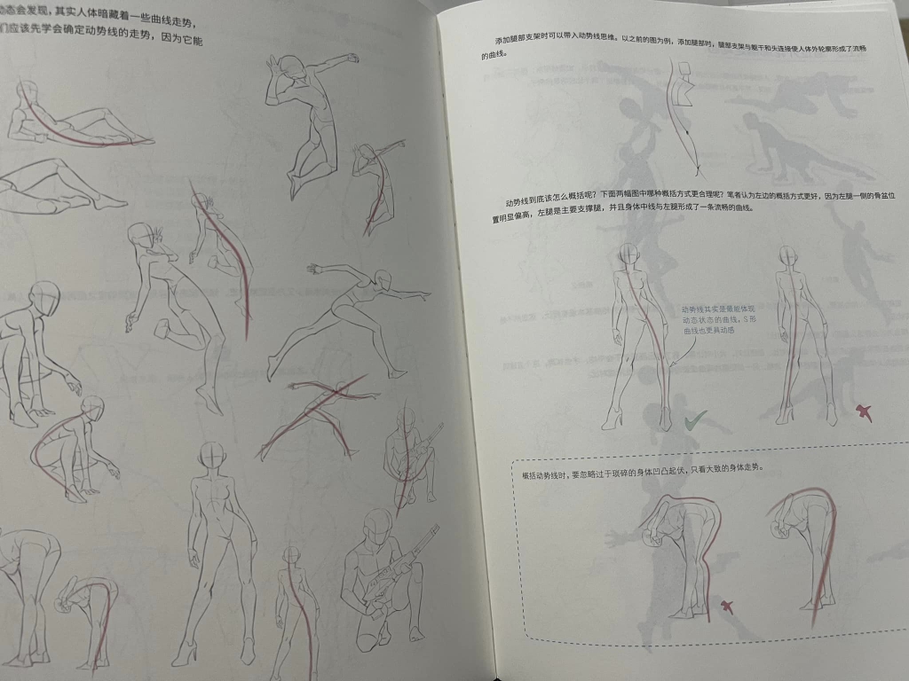 Human body structure and dynamic rendering