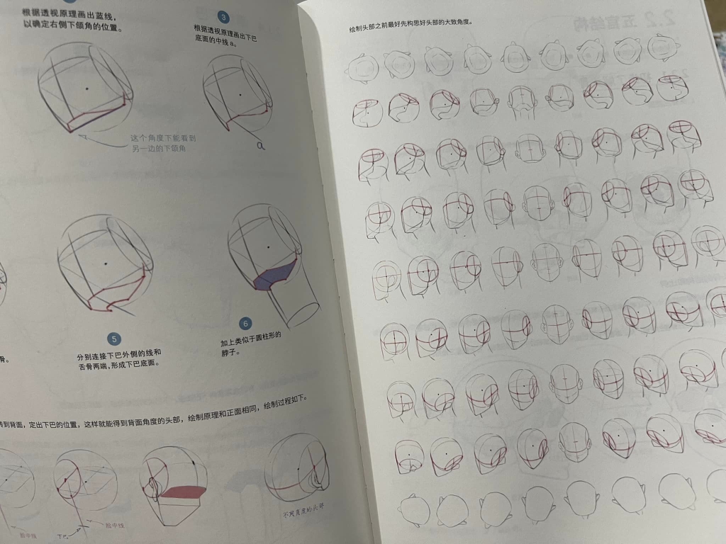 Human body structure and dynamic rendering