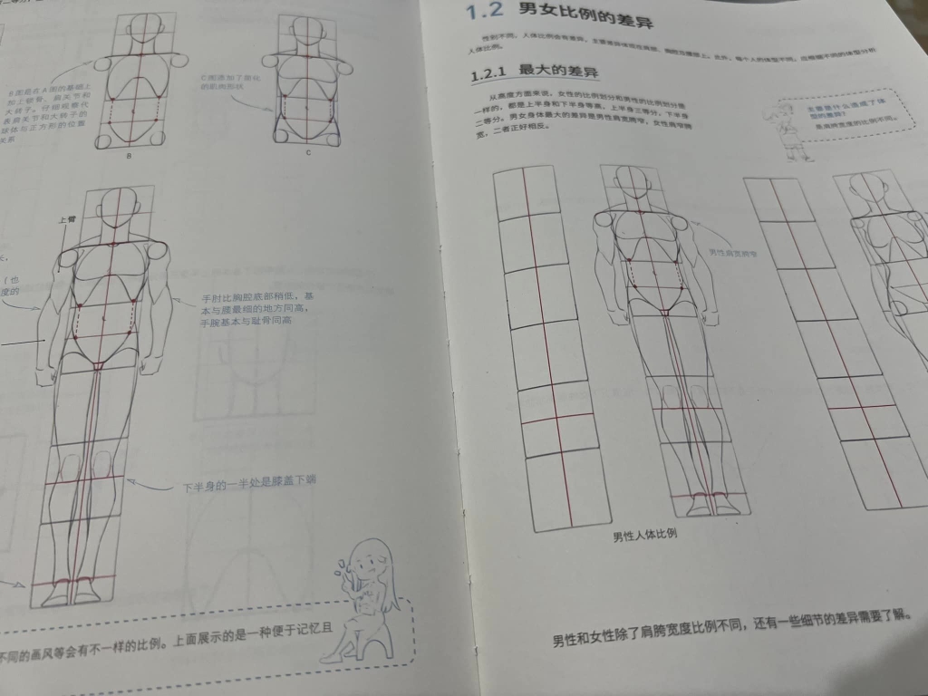 Human body structure and dynamic rendering
