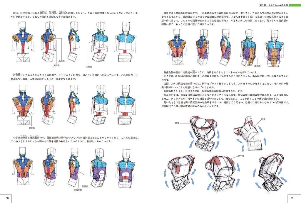 Master Guide to Drawing Characters