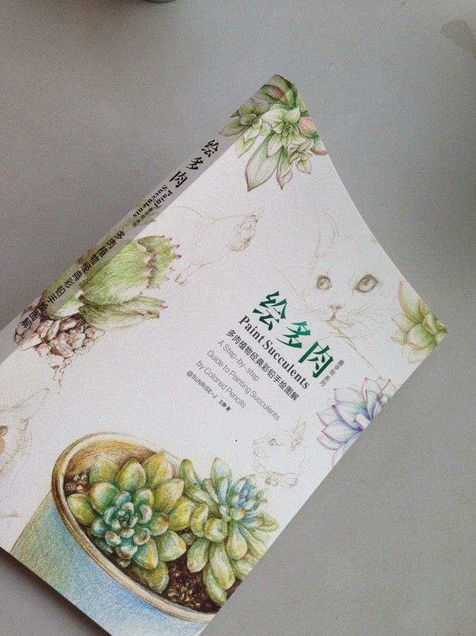 Paint Succulents by Pencil Color