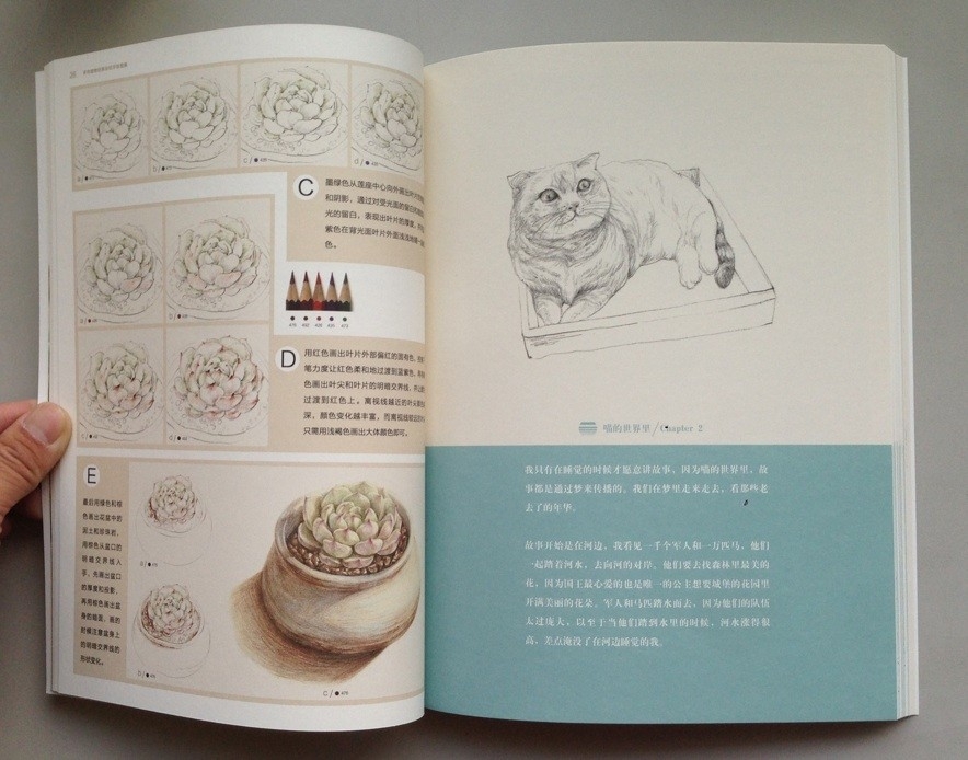 Paint Succulents by Pencil Color