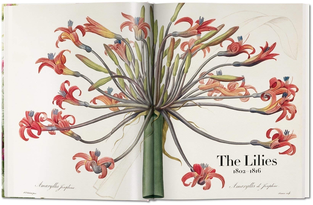 Redoute: The Book of Flowers - 40 Years