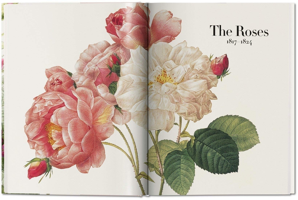 Redoute: The Book of Flowers - 40 Years