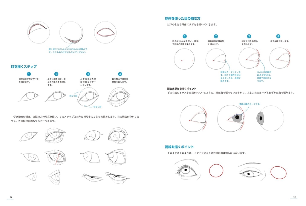 Structure and movement of the human body