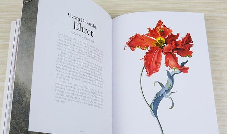 The Book of the Flower: Flowers in Art