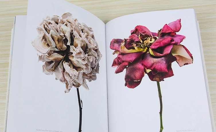 The Book of the Flower: Flowers in Art