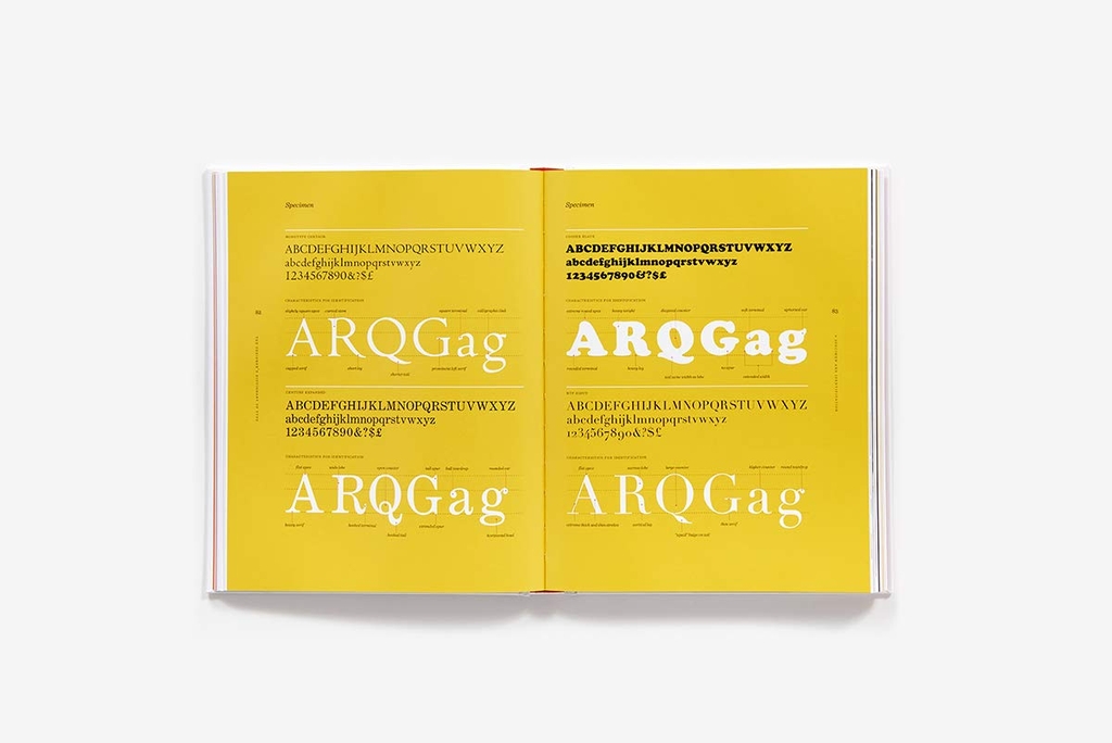 The Designer's Dictionary of Type