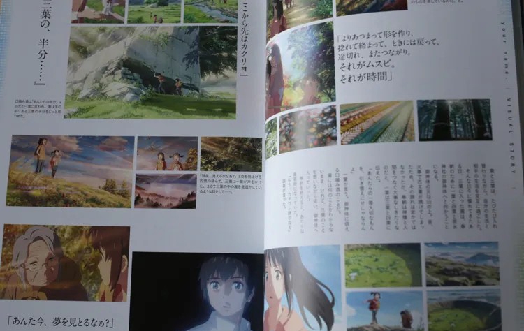 Your Name: Official Visual Guide