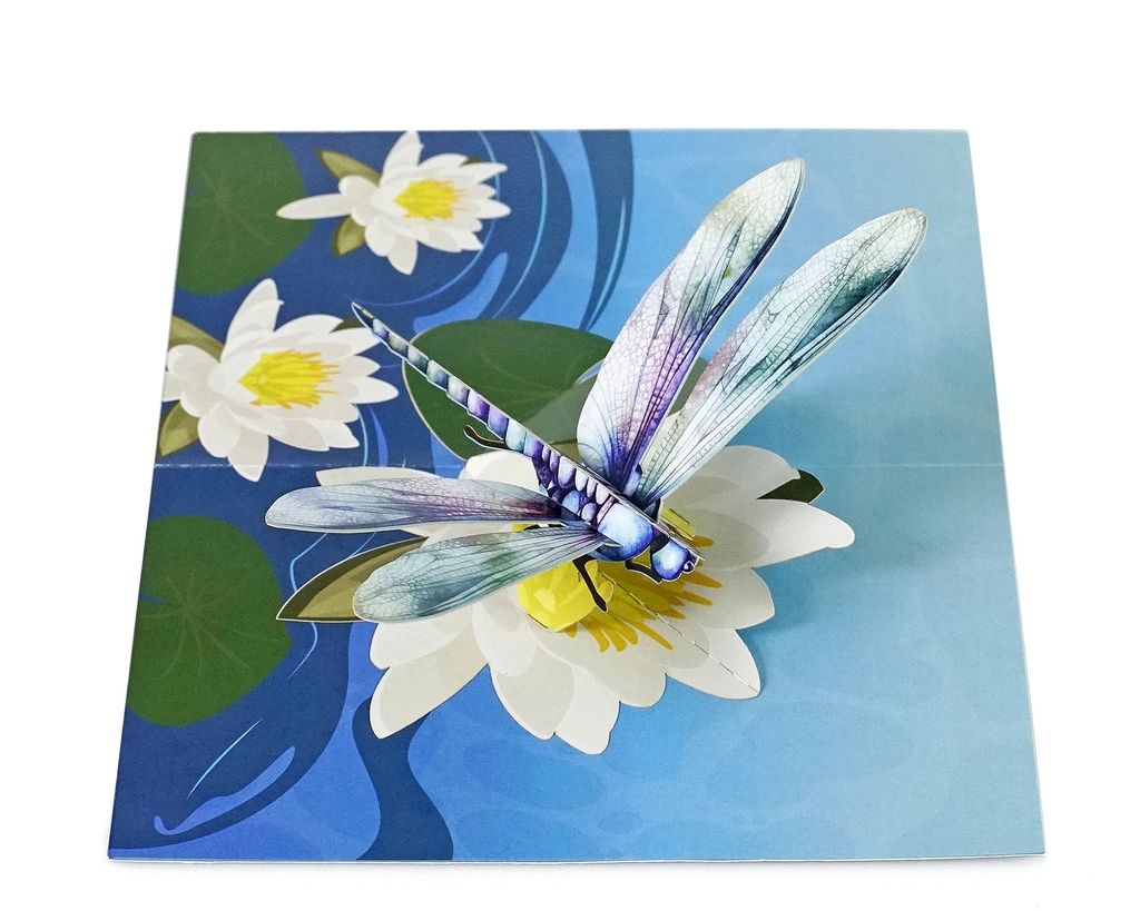 Thiệp 3D hoa Súng và Chuồn chuồn