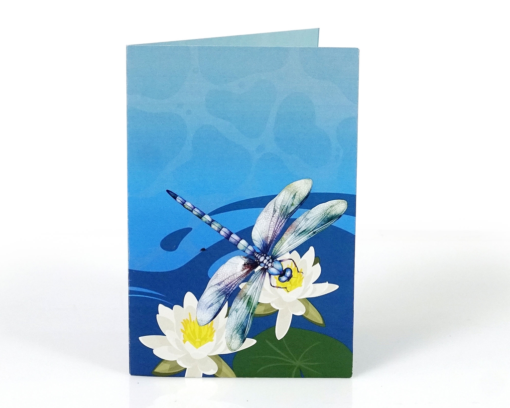 Thiệp 3D hoa Súng và Chuồn chuồn