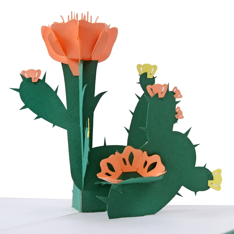 Thiệp chúc mừng 3D hoa xương rồng