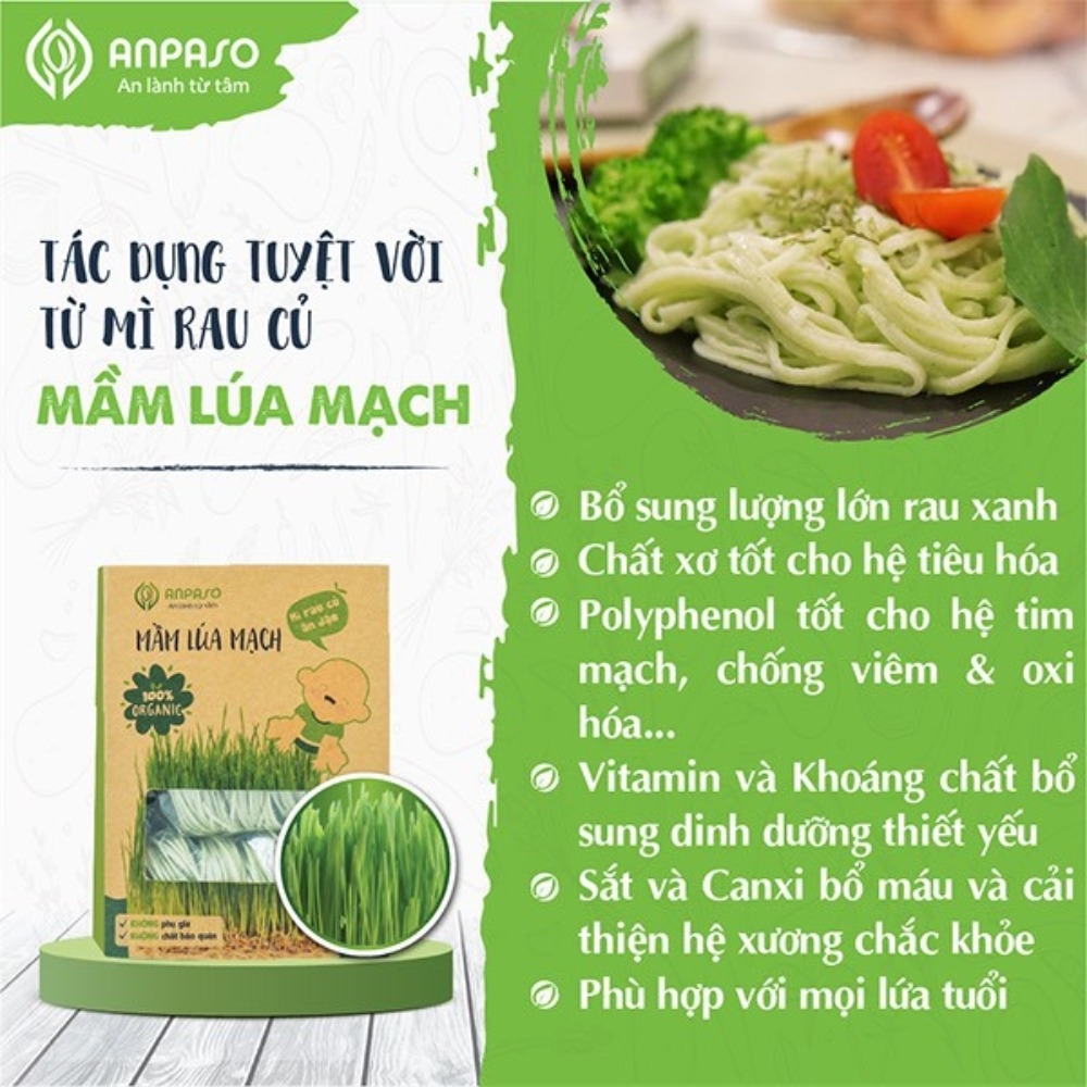 Mì mầm lúa mạch Organic Anpaso ăn chay giảm cân 300gr/120gr