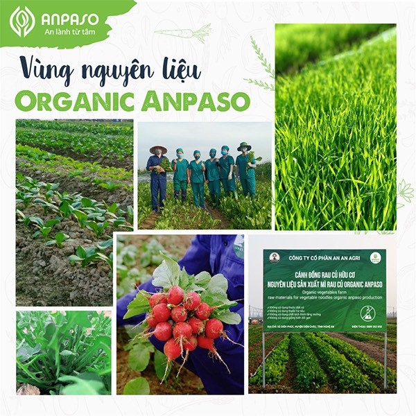 Mì rau củ hữu cơ cải bó xôi Organic Anpaso ăn chay giảm cân 300gr/120gr