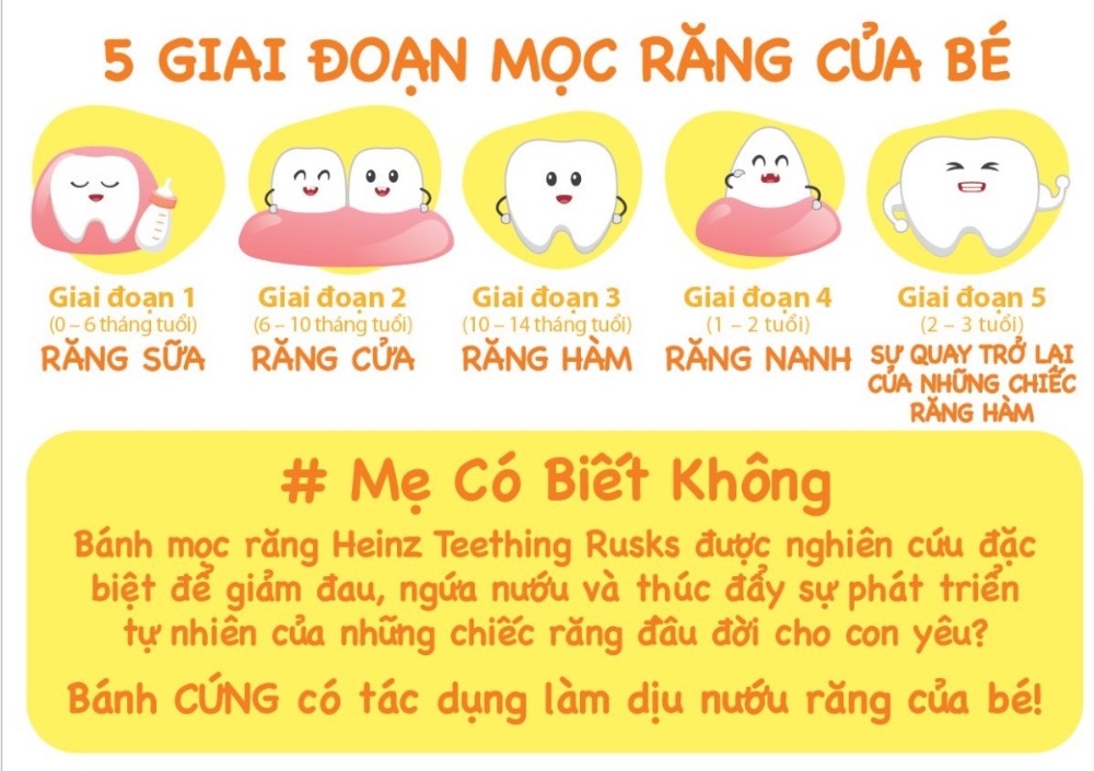 Bánh Mọc Răng Heinz Dành Cho Bé Từ 6 - 36 tháng (Giai đoạn Mọc Răng)