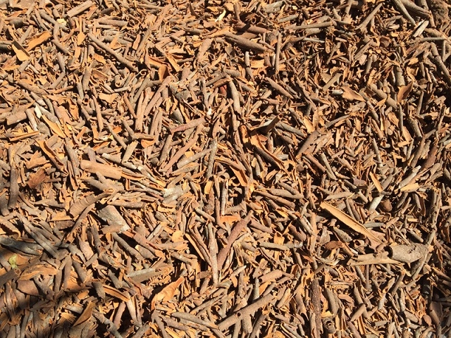 Broken cassia for large-scale spice production