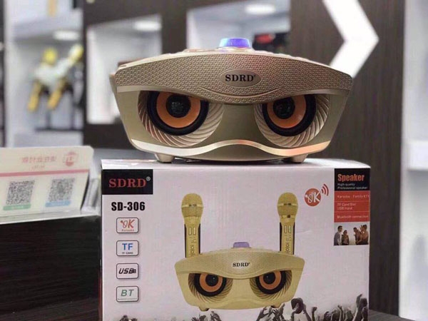 Loa karaoke SD306 kèm 2 mic cao cấp