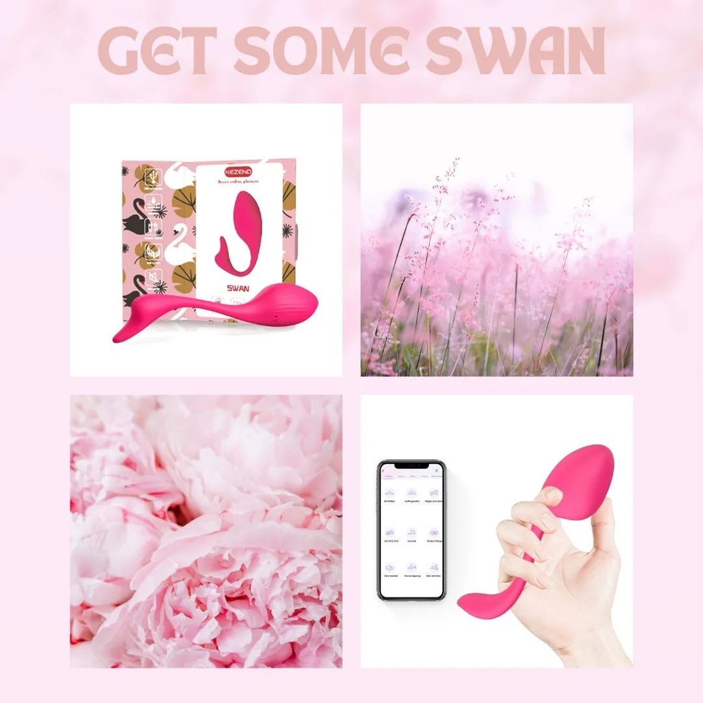 Thiên Nga Swan