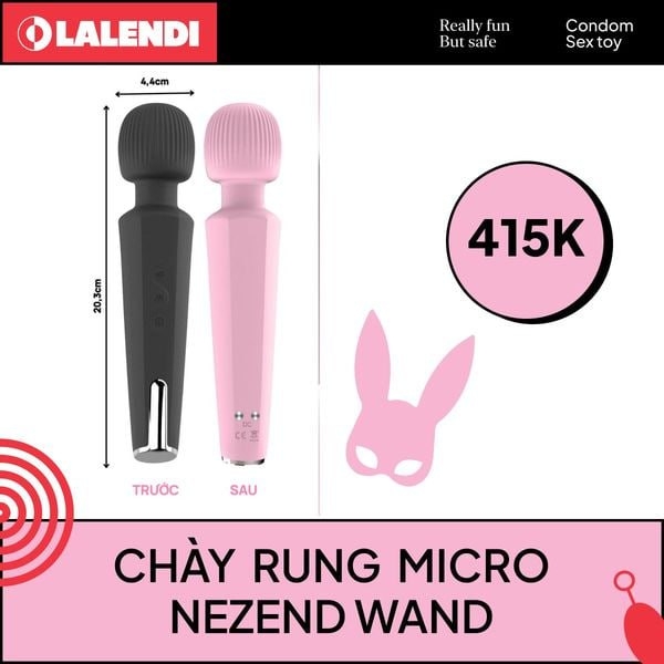 Gậy Micro