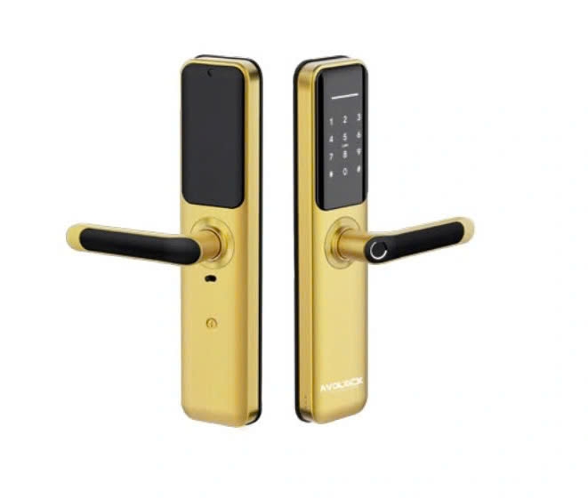 Khóa Vân Tay Cửa Gỗ AVOLOCK AV-63 | Canzy Vietnam