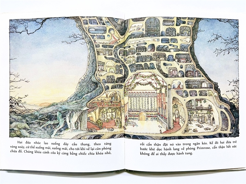 Bộ Sách Miền Dâu Dại Phần 2 - Chuyện Phiêu Lưu Full Box